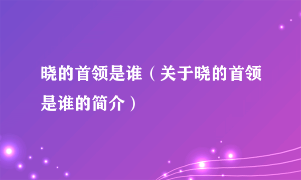 晓的首领是谁（关于晓的首领是谁的简介）