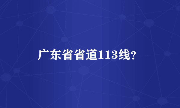 广东省省道113线？