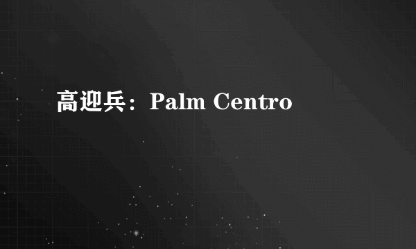 高迎兵：Palm Centro