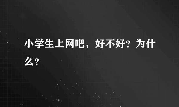 小学生上网吧，好不好？为什么？