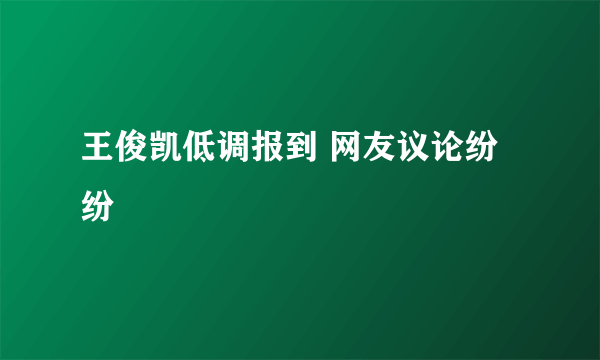 王俊凯低调报到 网友议论纷纷