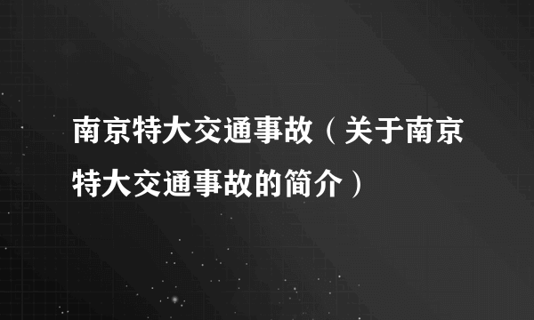 南京特大交通事故（关于南京特大交通事故的简介）