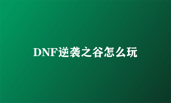 DNF逆袭之谷怎么玩