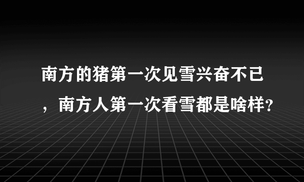 南方的猪第一次见雪兴奋不已，南方人第一次看雪都是啥样？