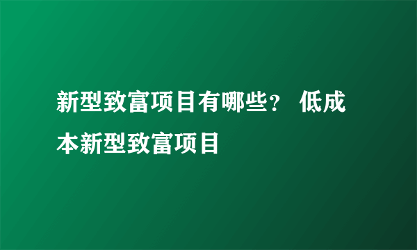 新型致富项目有哪些？ 低成本新型致富项目