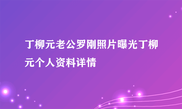 丁柳元老公罗刚照片曝光丁柳元个人资料详情