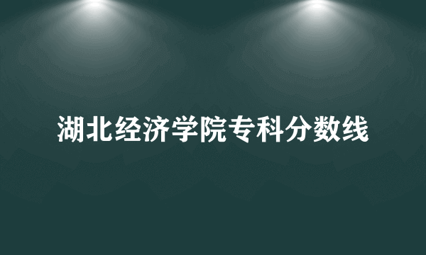 湖北经济学院专科分数线