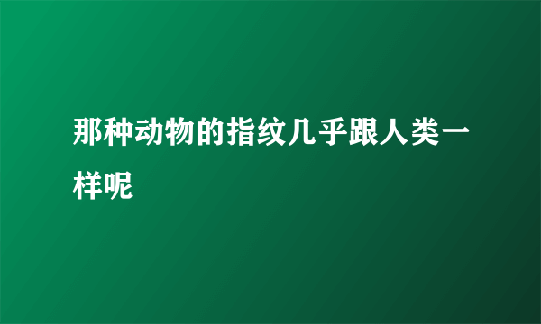 那种动物的指纹几乎跟人类一样呢