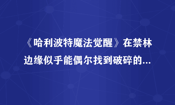 《哈利波特魔法觉醒》在禁林边缘似乎能偶尔找到破碎的福特车的零件碎片位置全介绍 在禁林边缘似乎能偶尔找到破碎的福特车的零件碎片在哪里