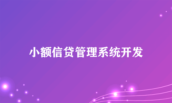 小额信贷管理系统开发