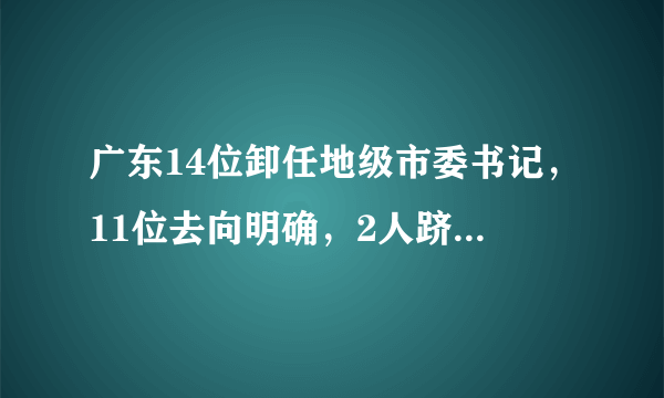 广东14位卸任地级市委书记，11位去向明确，2人跻身省部级