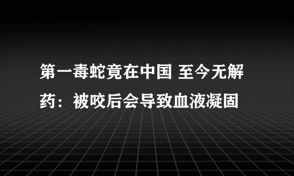 第一毒蛇竟在中国 至今无解药：被咬后会导致血液凝固