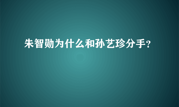 朱智勋为什么和孙艺珍分手？