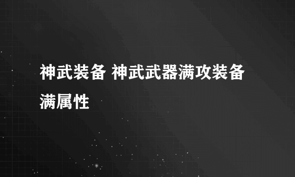 神武装备 神武武器满攻装备满属性