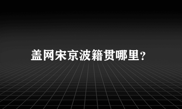 盖网宋京波籍贯哪里？