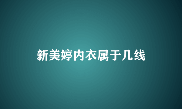 新美婷内衣属于几线