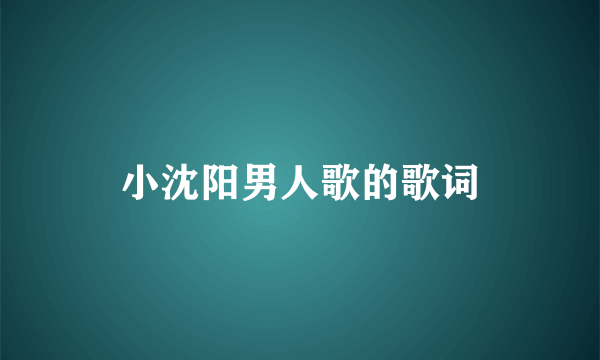 小沈阳男人歌的歌词