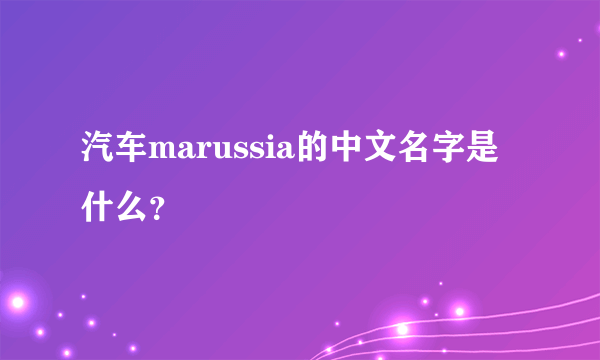 汽车marussia的中文名字是什么？