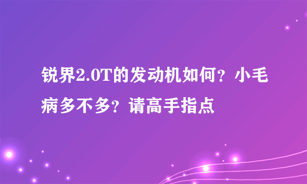 锐界2.0T的发动机如何？小毛病多不多？请高手指点