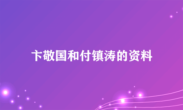 卞敬国和付镇涛的资料