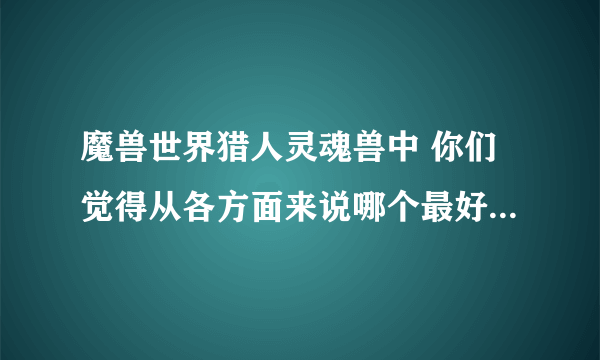 魔兽世界猎人灵魂兽中 你们觉得从各方面来说哪个最好。 一定是灵魂兽