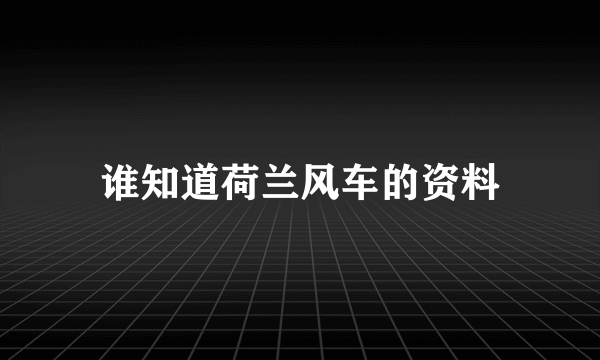 谁知道荷兰风车的资料