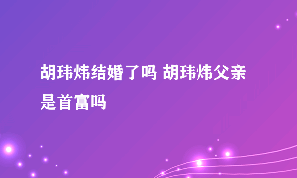 胡玮炜结婚了吗 胡玮炜父亲是首富吗