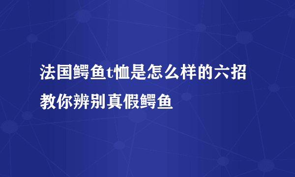 法国鳄鱼t恤是怎么样的六招教你辨别真假鳄鱼