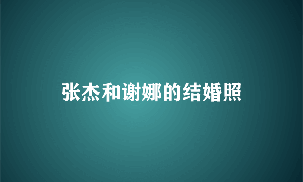 张杰和谢娜的结婚照