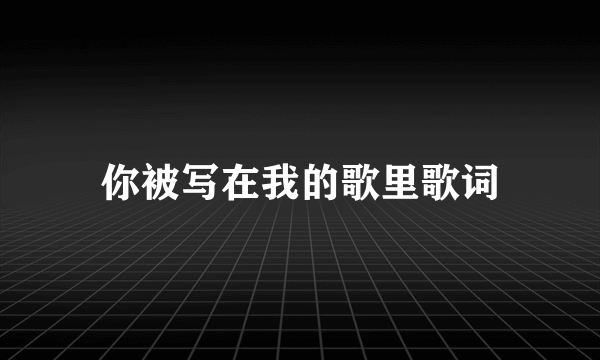 你被写在我的歌里歌词