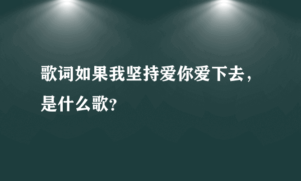 歌词如果我坚持爱你爱下去，是什么歌？