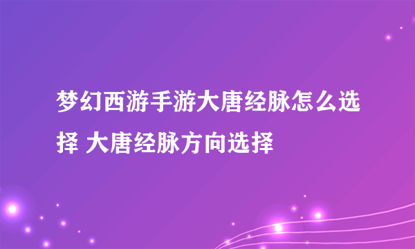 梦幻西游手游大唐经脉怎么选择 大唐经脉方向选择