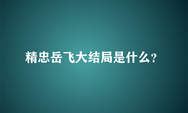 精忠岳飞大结局是什么？