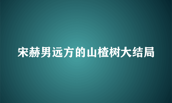 宋赫男远方的山楂树大结局