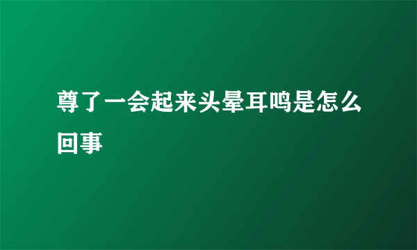 尊了一会起来头晕耳鸣是怎么回事