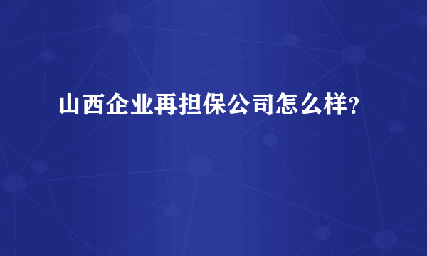 山西企业再担保公司怎么样？