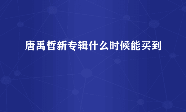 唐禹哲新专辑什么时候能买到