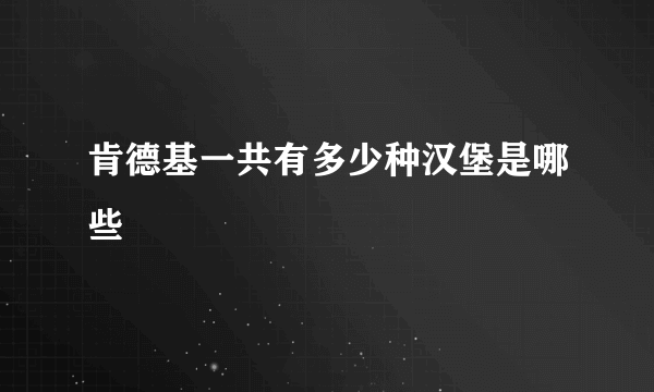 肯德基一共有多少种汉堡是哪些