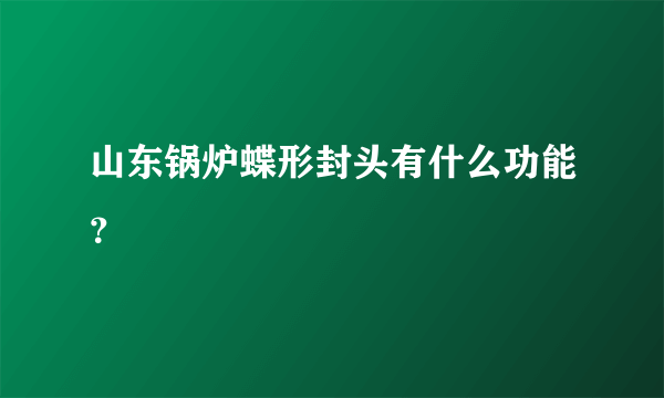 山东锅炉蝶形封头有什么功能？