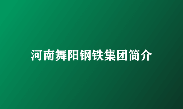 河南舞阳钢铁集团简介