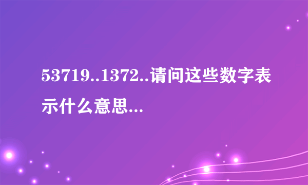 53719..1372..请问这些数字表示什么意思？谢谢啦！