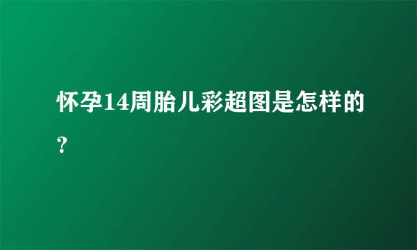 怀孕14周胎儿彩超图是怎样的？