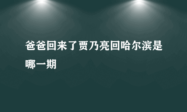 爸爸回来了贾乃亮回哈尔滨是哪一期