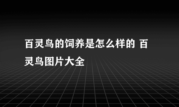 百灵鸟的饲养是怎么样的 百灵鸟图片大全