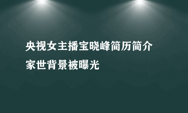 央视女主播宝晓峰简历简介  家世背景被曝光