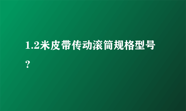 1.2米皮带传动滚筒规格型号？