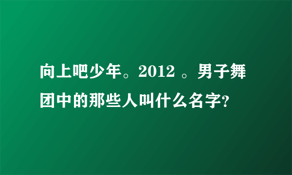 向上吧少年。2012 。男子舞团中的那些人叫什么名字？