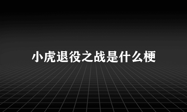 小虎退役之战是什么梗