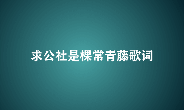 求公社是棵常青藤歌词