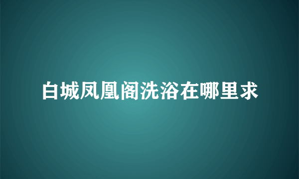 白城凤凰阁洗浴在哪里求